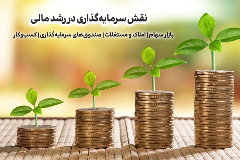 نقش سرمایه‌گذاری در رشد مالی